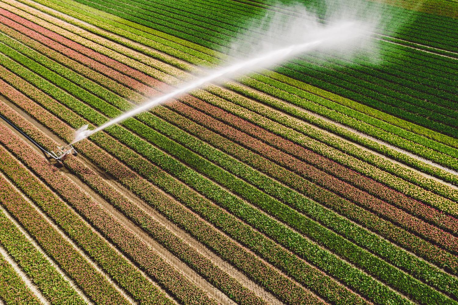 Smart farming systems and IoT solutions - Oziotech agricultural technologies